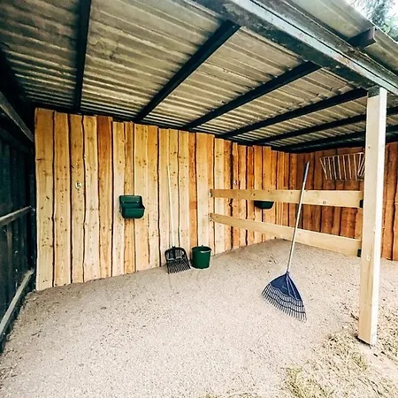 Lägenhet Wunderschoenes Mit Gaestehaus In Der Mit Fass-sauna