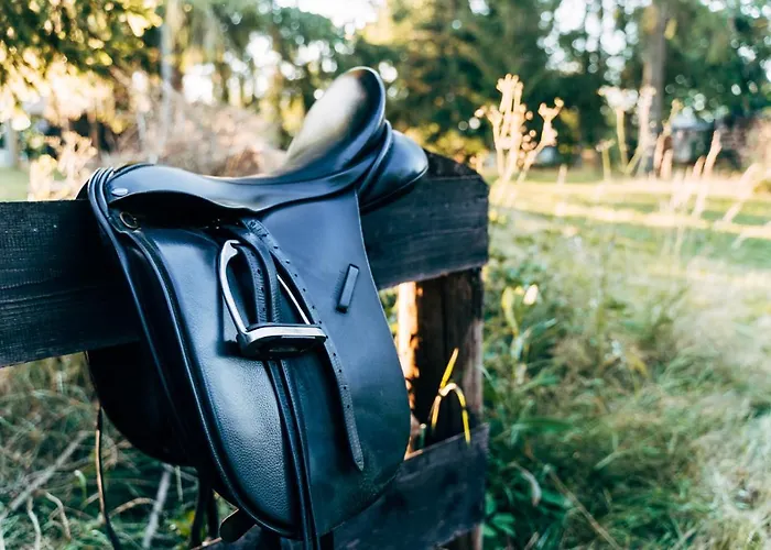 Wunderschoenes Mit Gaestehaus In Der Mit Fass-sauna *